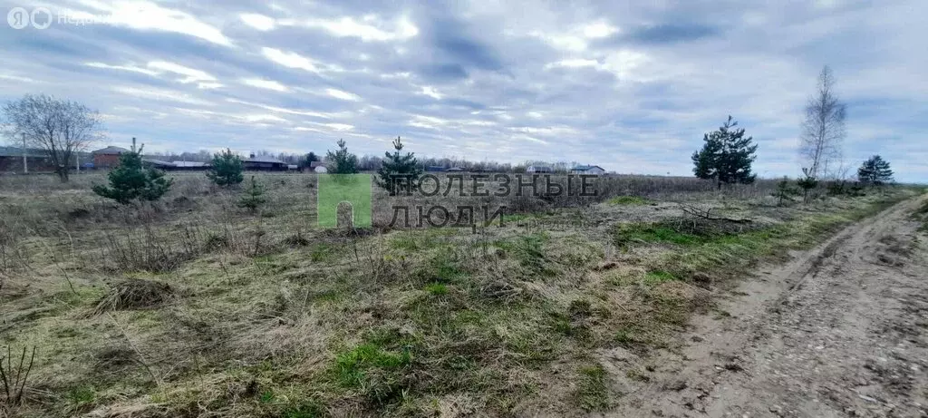 Участок в Орловский муниципальный округ, деревня Пашково (25 м) - Фото 2