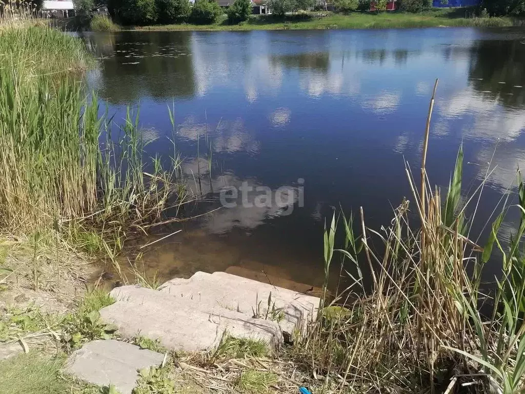 Участок в Воронежская область, с. Новая Усмань пер. Первомайский, 2 ... - Фото 2