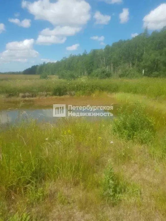 Участок в Ленинградская область, Волховский район, Кисельнинское ... - Фото 1