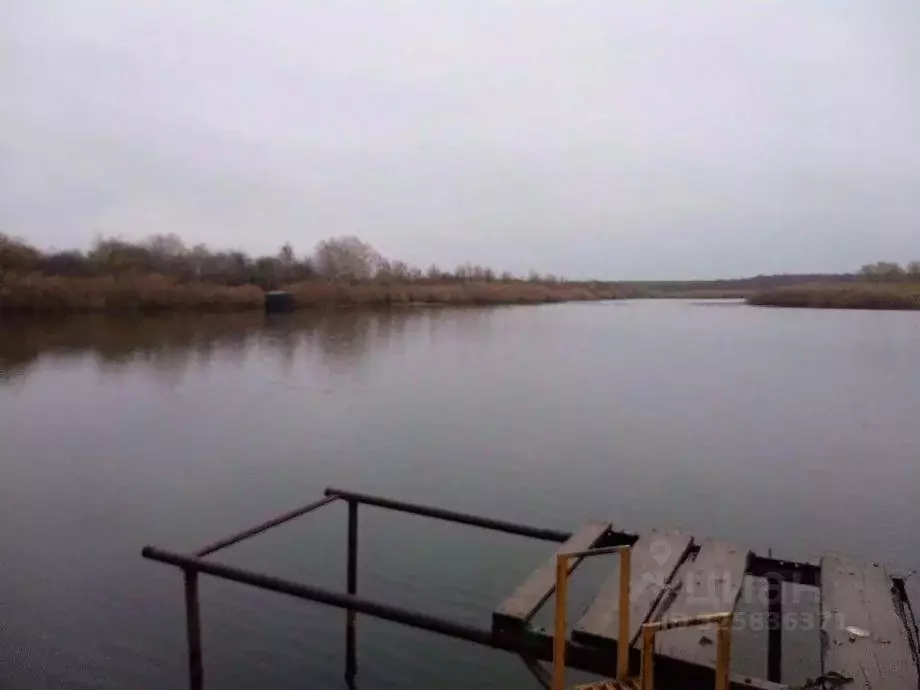 Участок в Крым, Феодосия муниципальный округ, с. Насыпное  (5.1 сот.) - Фото 1