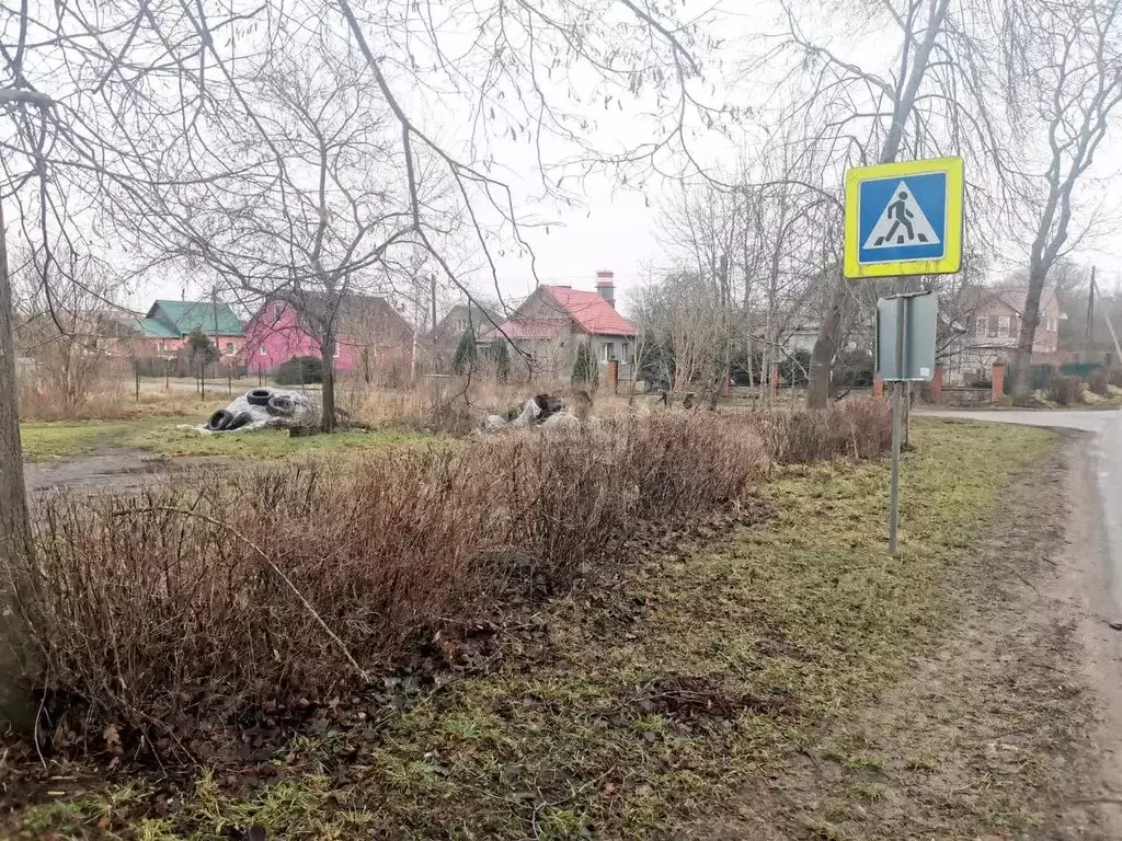 Участок в Калининградская область, Гурьевский муниципальный округ, ... - Фото 1