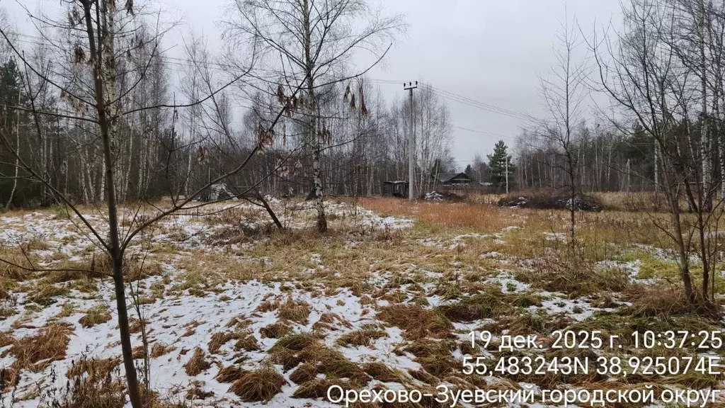 Участок в Московская область, Орехово-Зуевский городской округ, с. ... - Фото 2