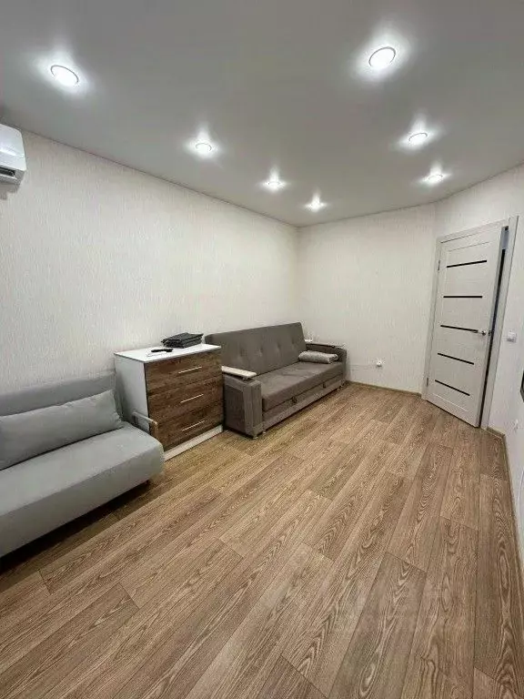 1-к кв. Амурская область, Благовещенский район, с. Чигири ул. ... - Фото 1