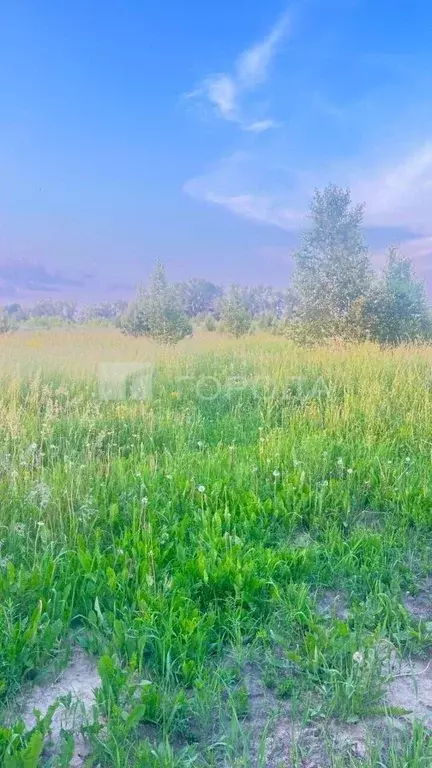 Участок в Алтайский край, Первомайский район, пос. Новый ул. ... - Фото 2