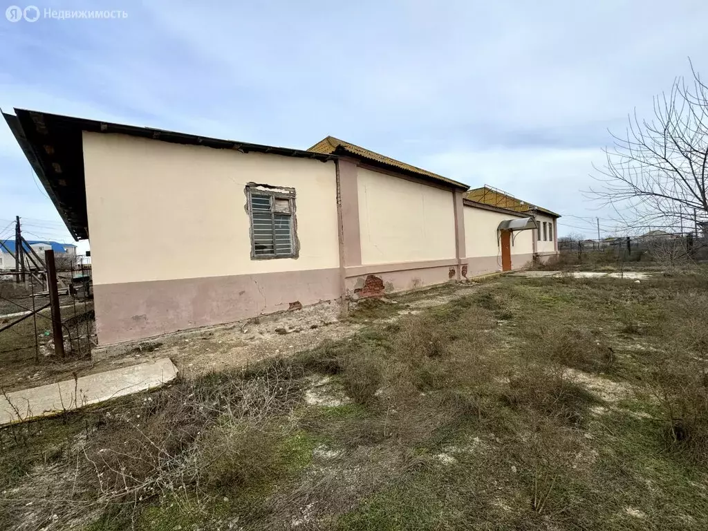 Помещение свободного назначения (385 м) - Фото 1