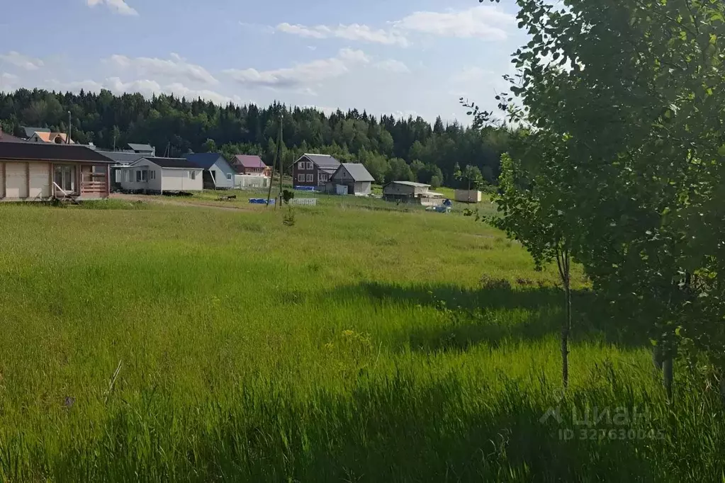 Участок в Пермский край, Пермский муниципальный округ, д. Валевая ул. ... - Фото 1