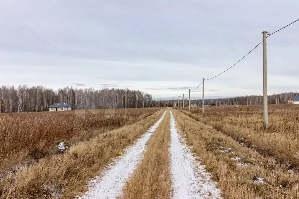 Участок в Тюменская область, Тюменский район, с. Кулига ул. ... - Фото 0