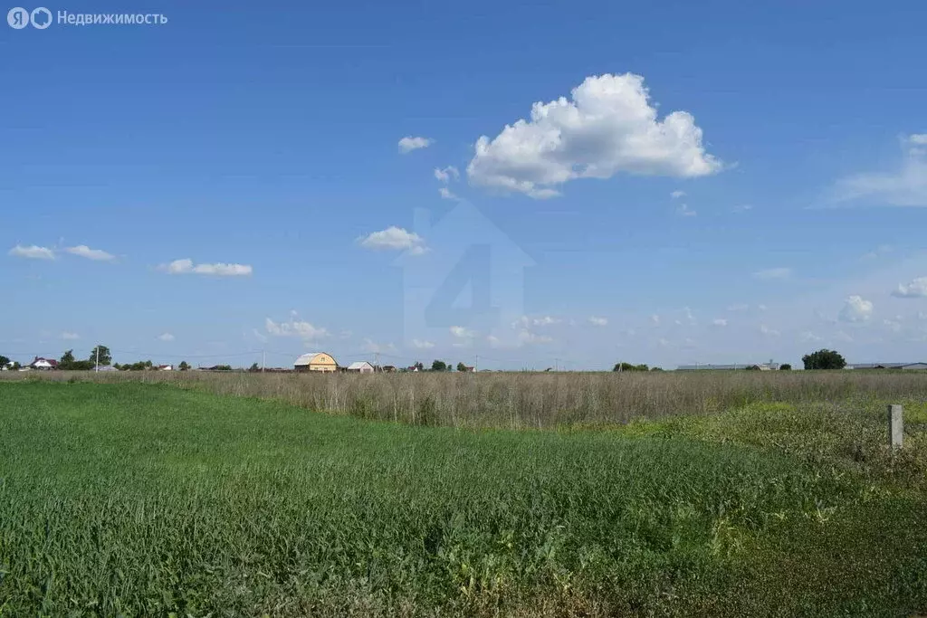 Участок в село Боево, улица 1 Мая, 20 (10 м) - Фото 1