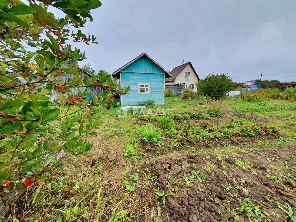 Участок в Вологодская область, пос. Сосновка пер. 3-й Огородный (4.0 ... - Фото 1