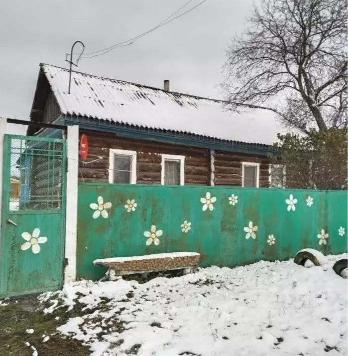 Дом в Новосибирская область, Мошковский район, д. Балта Советская ул., ... - Фото 1