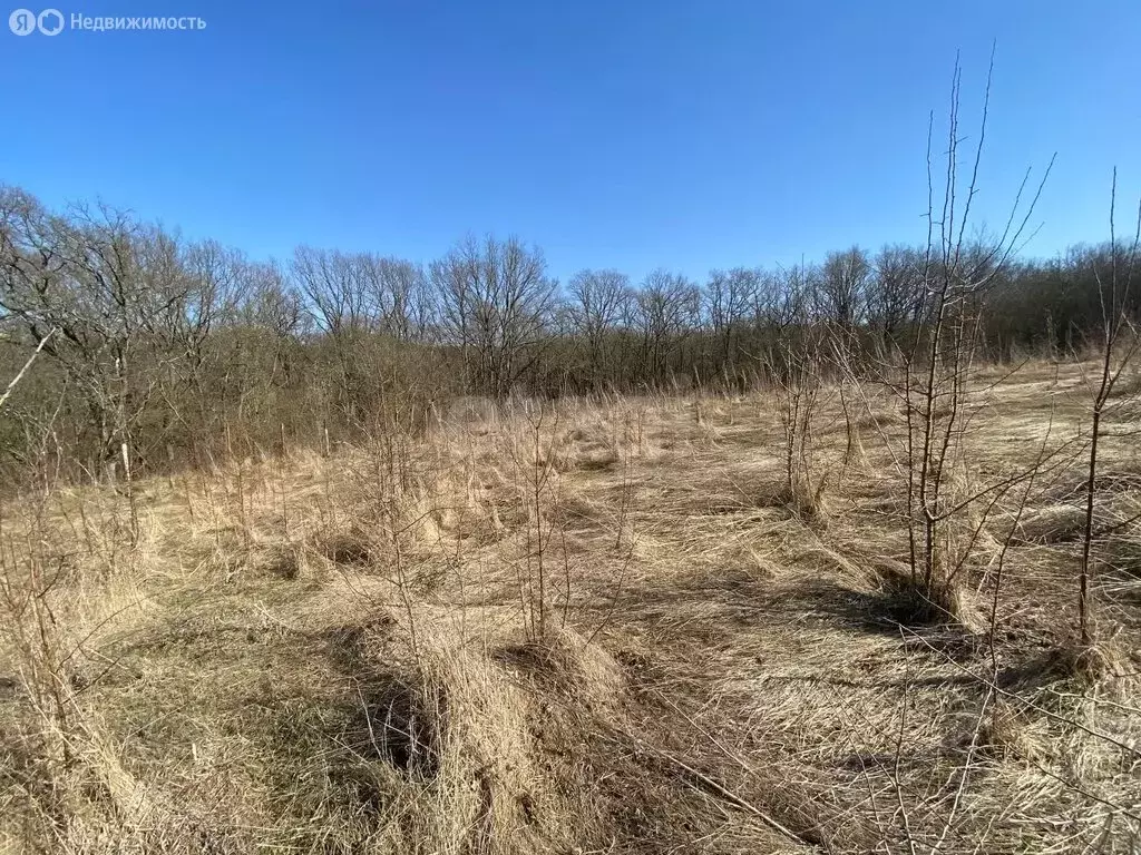 Участок в станица Азовская, микрорайон Сакли (15.9 м) - Фото 2