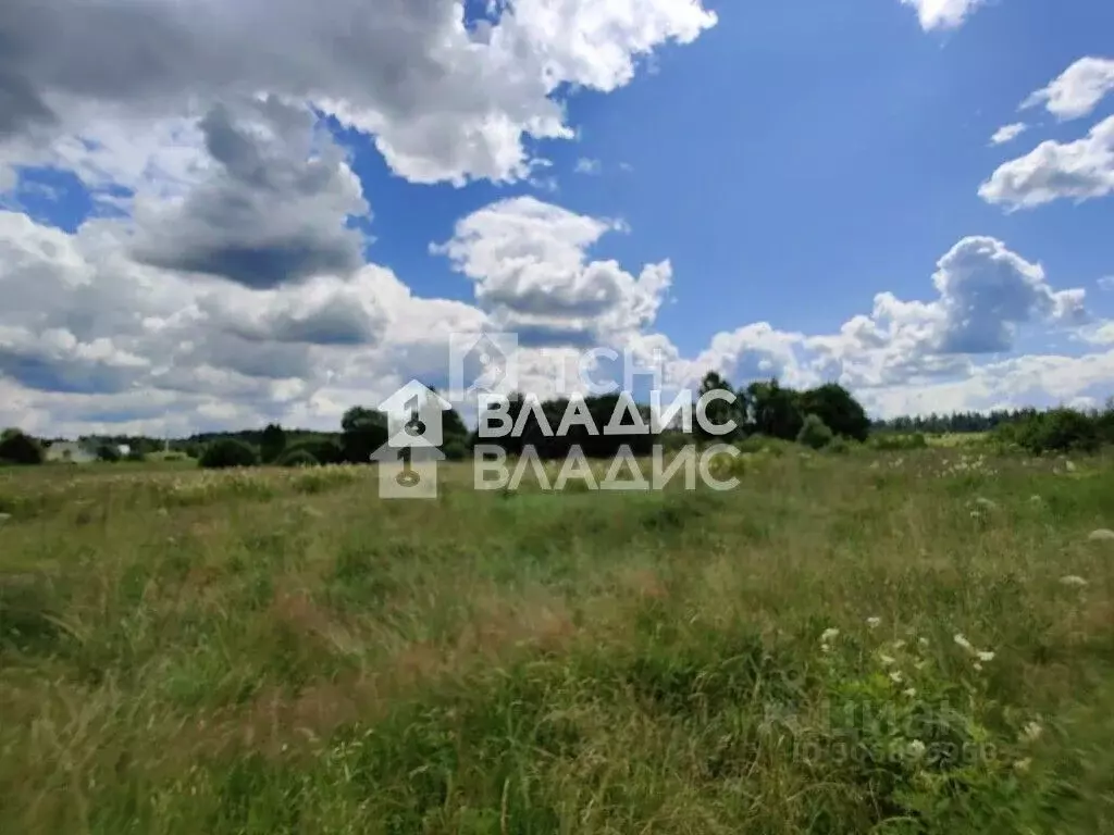 Участок в Московская область, Можайский городской округ, с. Борисово  ... - Фото 0