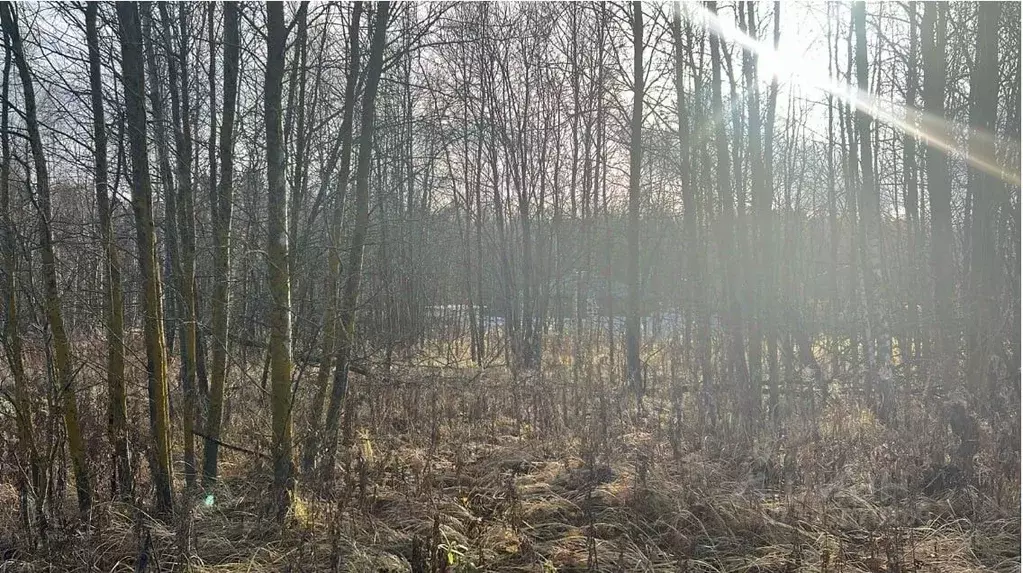 Участок в Московская область, Ступино пер. 1-й Знаменский (8.0 сот.) - Фото 1