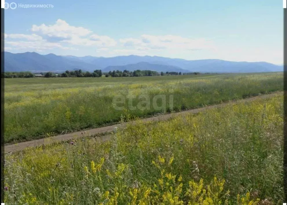 Участок в Усть-Коксинский район, село Усть-Кокса (360 м) - Фото 1