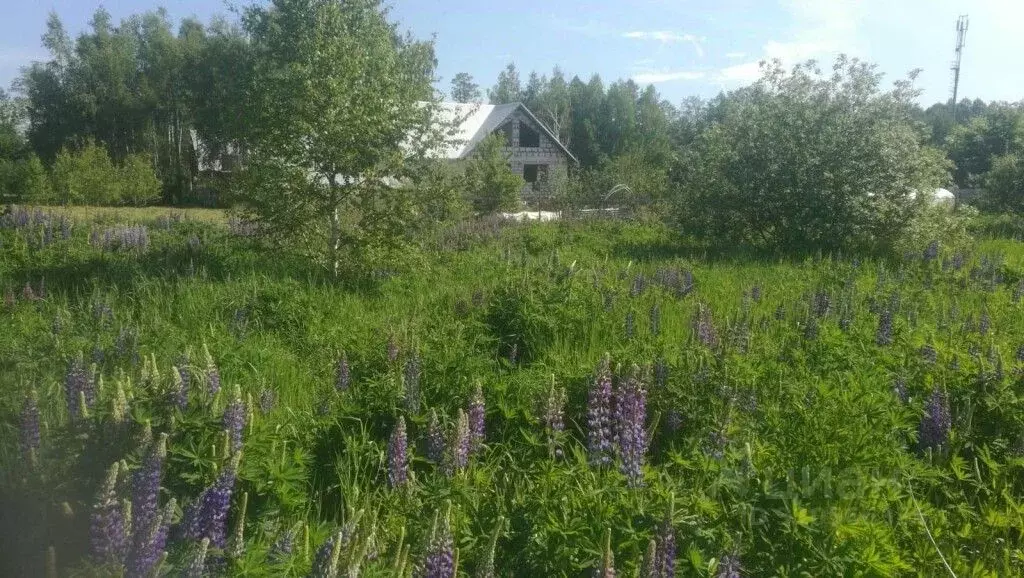 Участок в Владимирская область, Камешковский район, Второвское ... - Фото 0