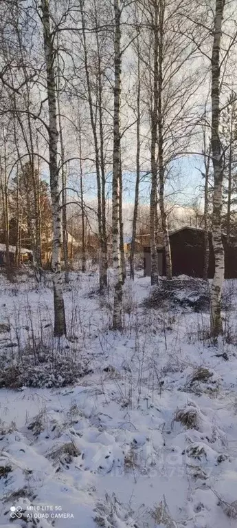 Участок в Ленинградская область, Кировский район, Мгинское городское ... - Фото 1