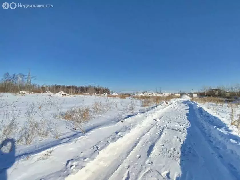 Участок в Тюмень, КП Свои (4 м) - Фото 1