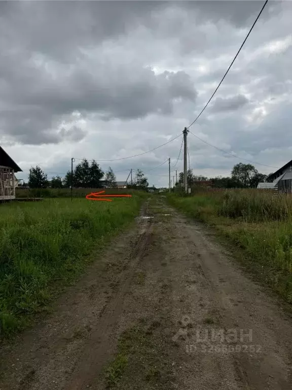 Участок в Московская область, Талдомский городской округ, д. Костино  ... - Фото 2
