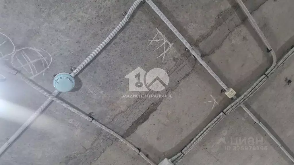 Помещение свободного назначения в Новосибирская область, Новосибирск ... - Фото 2