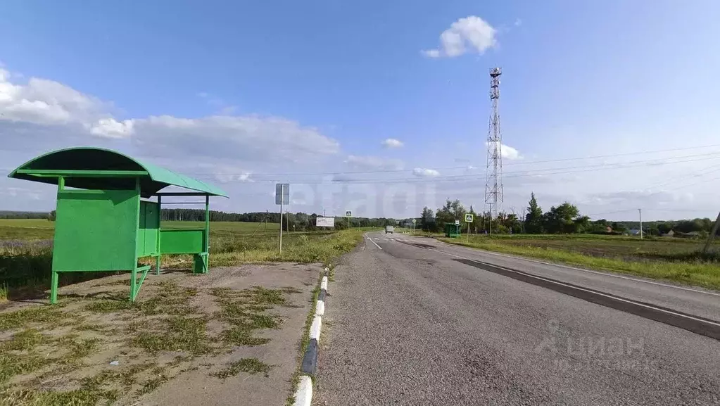 Участок в Калужская область, Перемышльский район, Борищево с/пос, с. ... - Фото 2