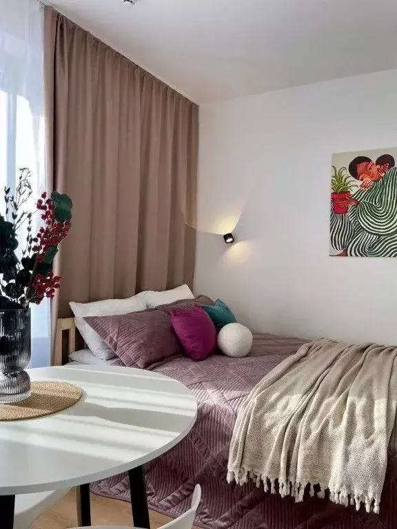 1-к кв. Санкт-Петербург пос. Песочный, Садовая ул. (25.0 м) - Фото 2