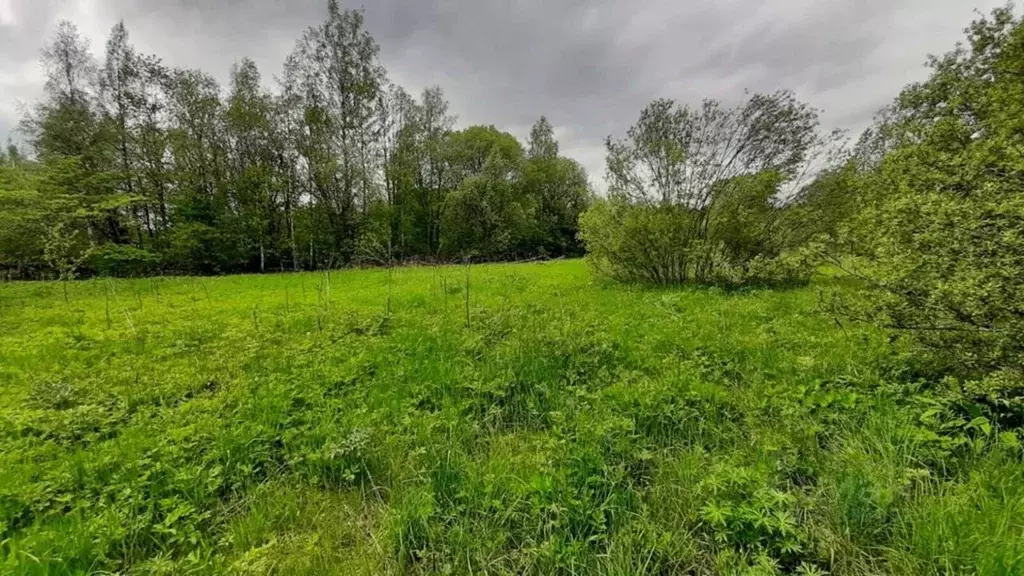 Участок в Ленинградская область, Волосовский район, Большеврудское ... - Фото 1