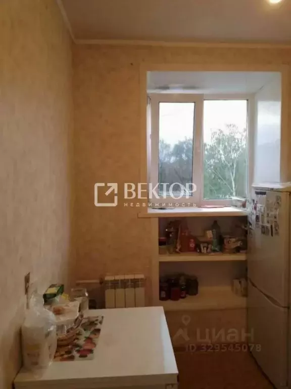 1-к кв. Костромская область, Кострома проезд 3-й Сосновый, 6А (23.0 м) - Фото 2