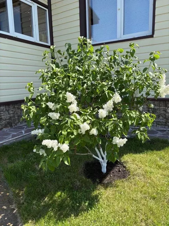 Дом в Башкортостан, Чишминский район, Шингак-Кульский сельсовет, д. ... - Фото 1