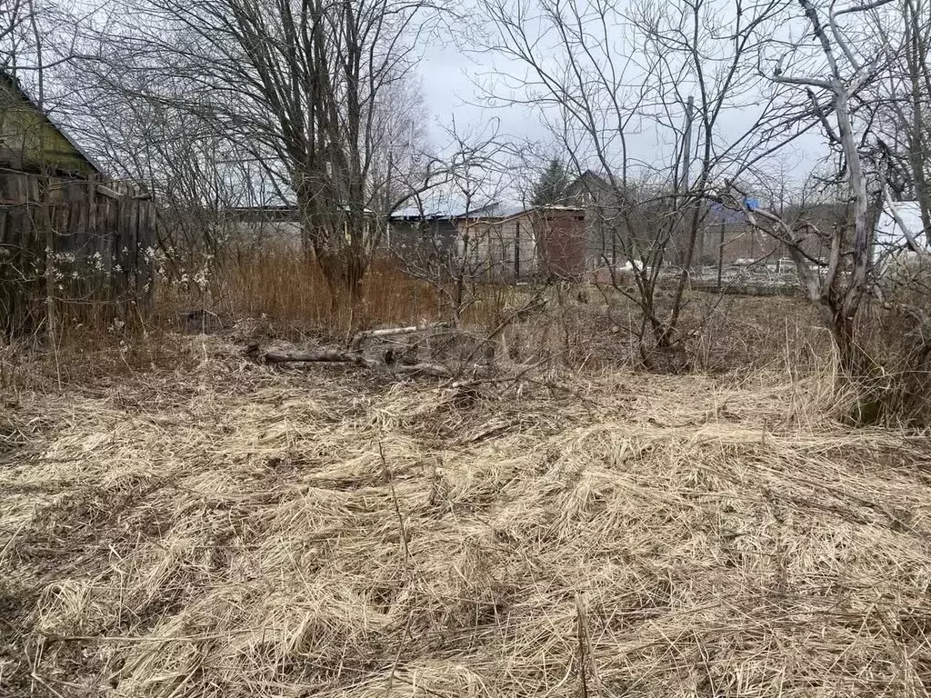 Участок в Костромская область, Кострома Мир садоводческое ... - Фото 2