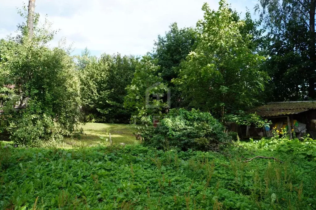 Участок в Ленинградская область, Гатчинский муниципальный округ, ... - Фото 1