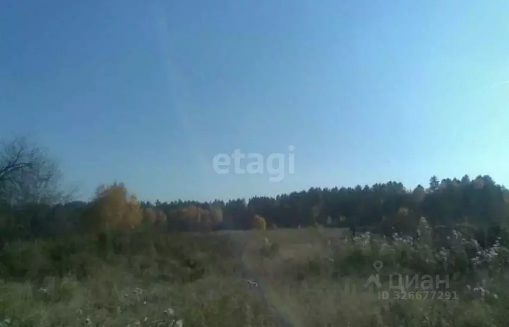 Участок в Иркутская область, Иркутский муниципальный округ, Михалево ... - Фото 1