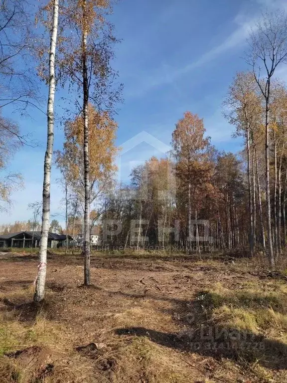 Участок в Ленинградская область, Всеволожский район, Лесколовское ... - Фото 1