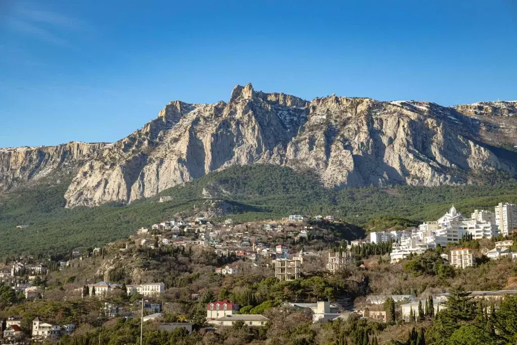 Комната Крым, Ялта муниципальный округ, Гаспра пгт ш. Алупкинское ... - Фото 1