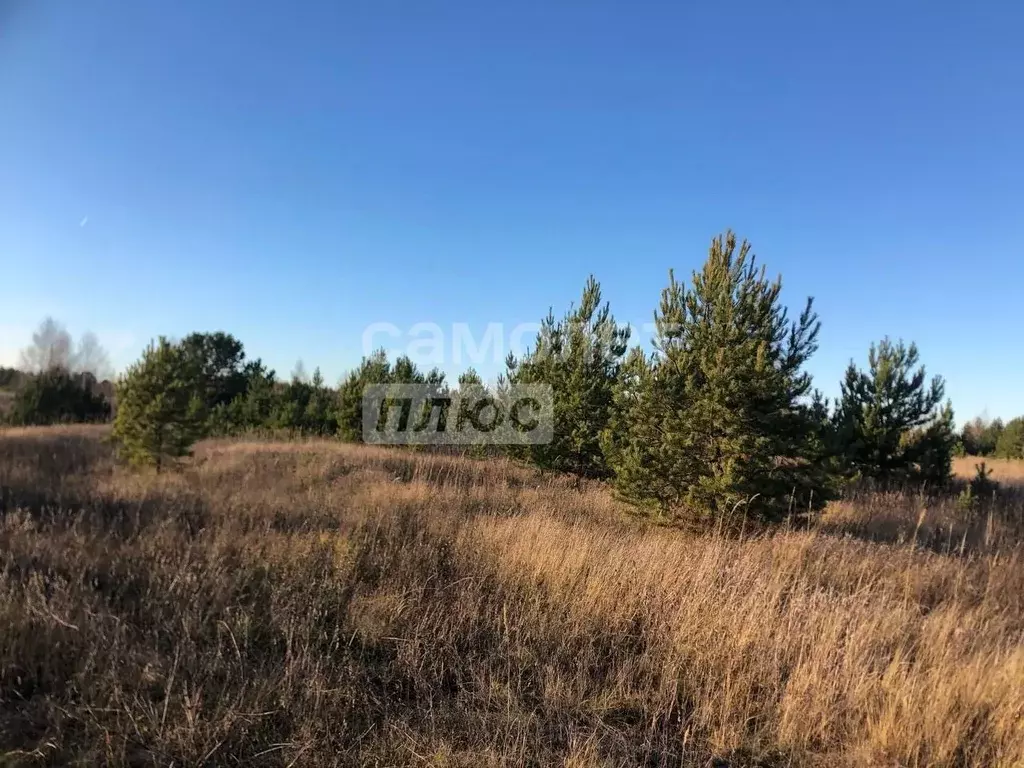 Участок в Татарстан, Елабужский район, Поспеловское с/пос, с. ... - Фото 2