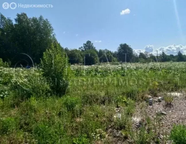 Участок в Выборгский район, Селезнёвское сельское поселение, посёлок ... - Фото 2