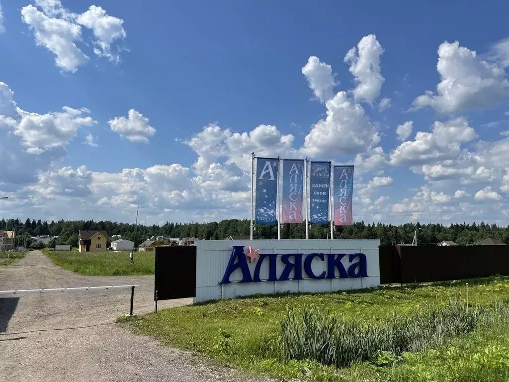 Участок в Московская область, Пушкинский городской округ, Аляска кп  ... - Фото 1