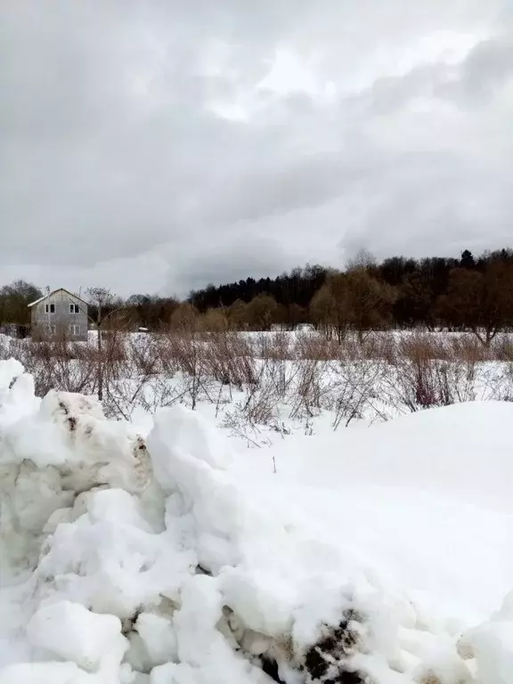 Участок в Калужская область, Жуковский муниципальный округ, с. Совхоз ... - Фото 1