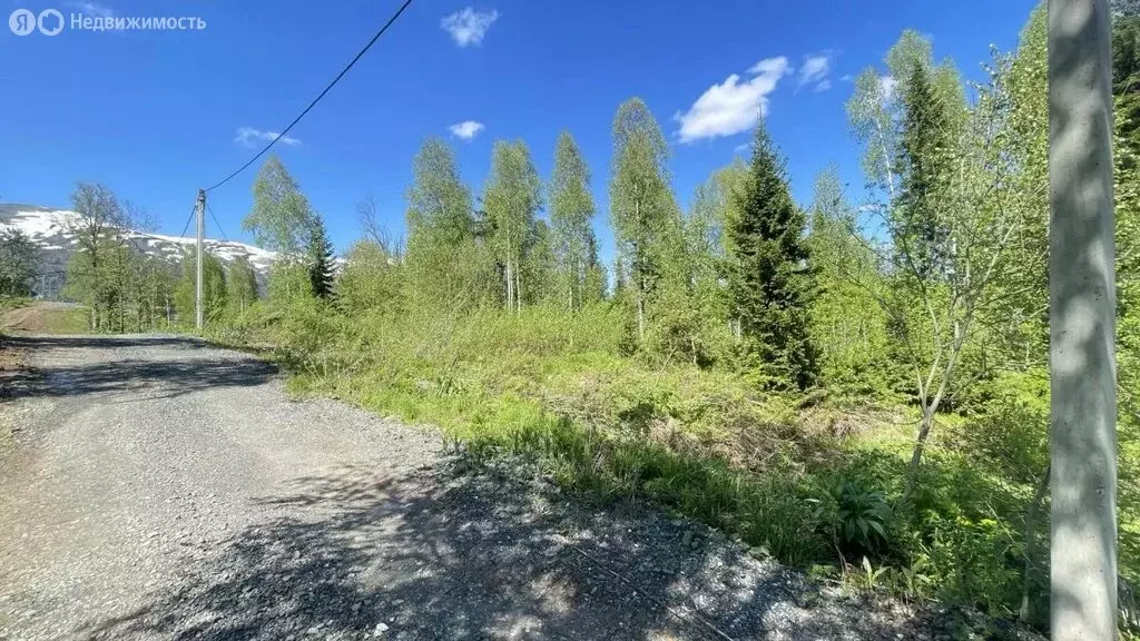 Участок в посёлок городского типа Шерегеш, Берёзовая улица, 8 (12 м) - Фото 1