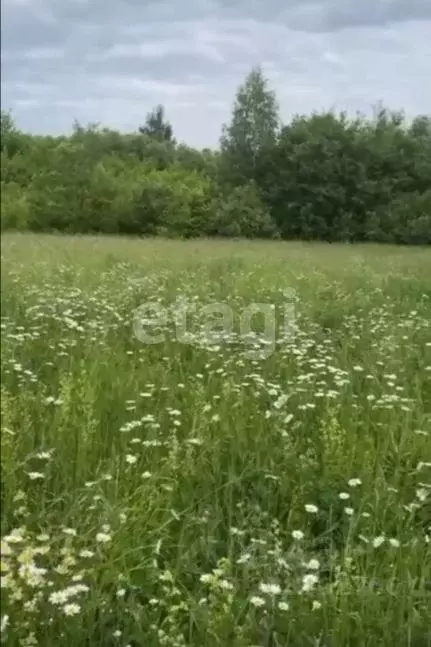 Участок в Липецкая область, Грязинский муниципальный округ, с. Бутырки ... - Фото 1