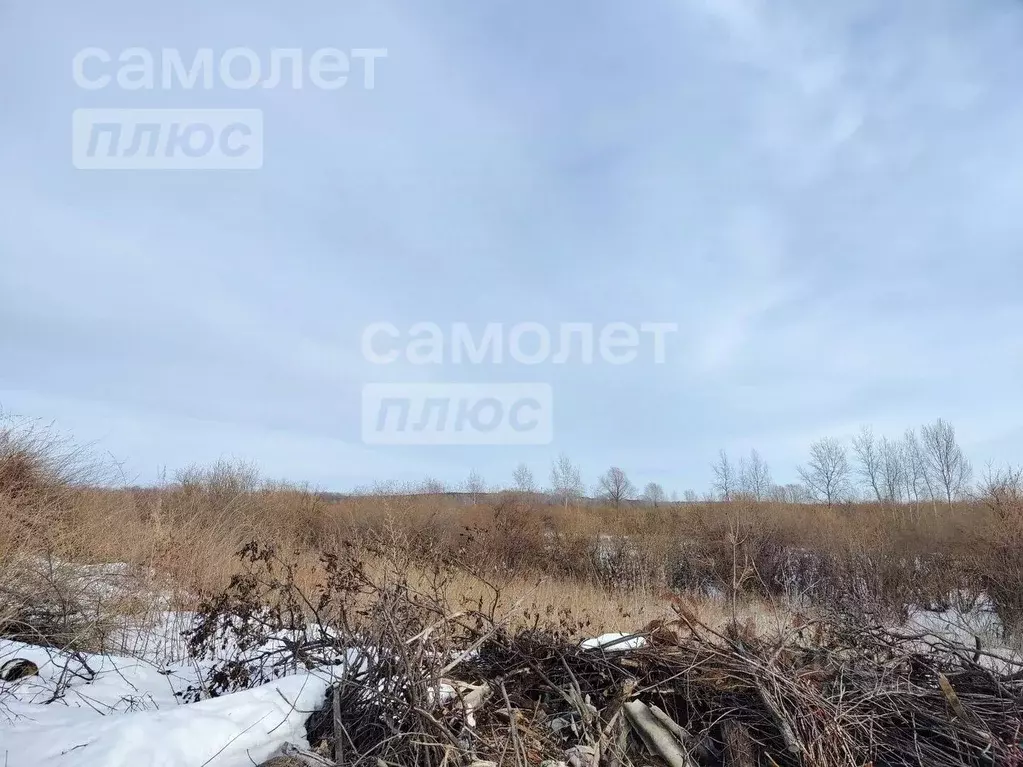 Участок в Тюменская область, Тюменский район, д. Решетникова Советская ... - Фото 0