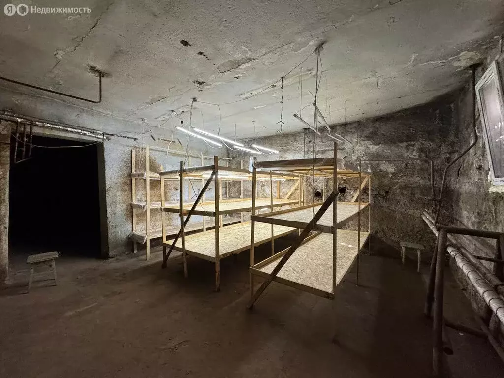 Помещение свободного назначения (172.4 м) - Фото 0