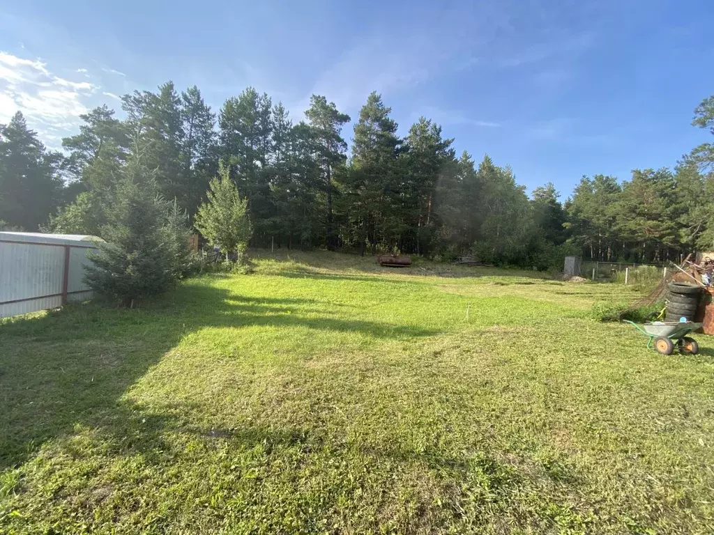 Участок в Алтайский край, Барнаул городской округ, Поселок Борзовая ... - Фото 1