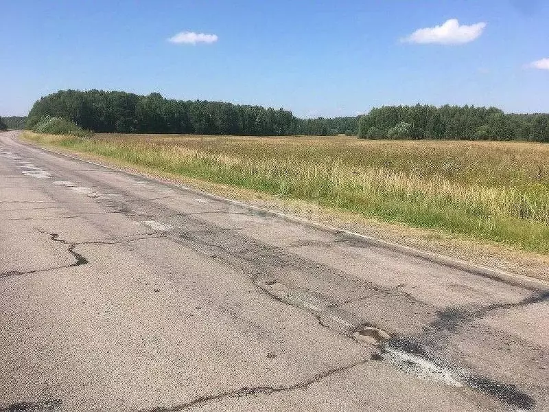 Участок в Калужская область, Юхновский муниципальный округ, Щелканово ... - Фото 1