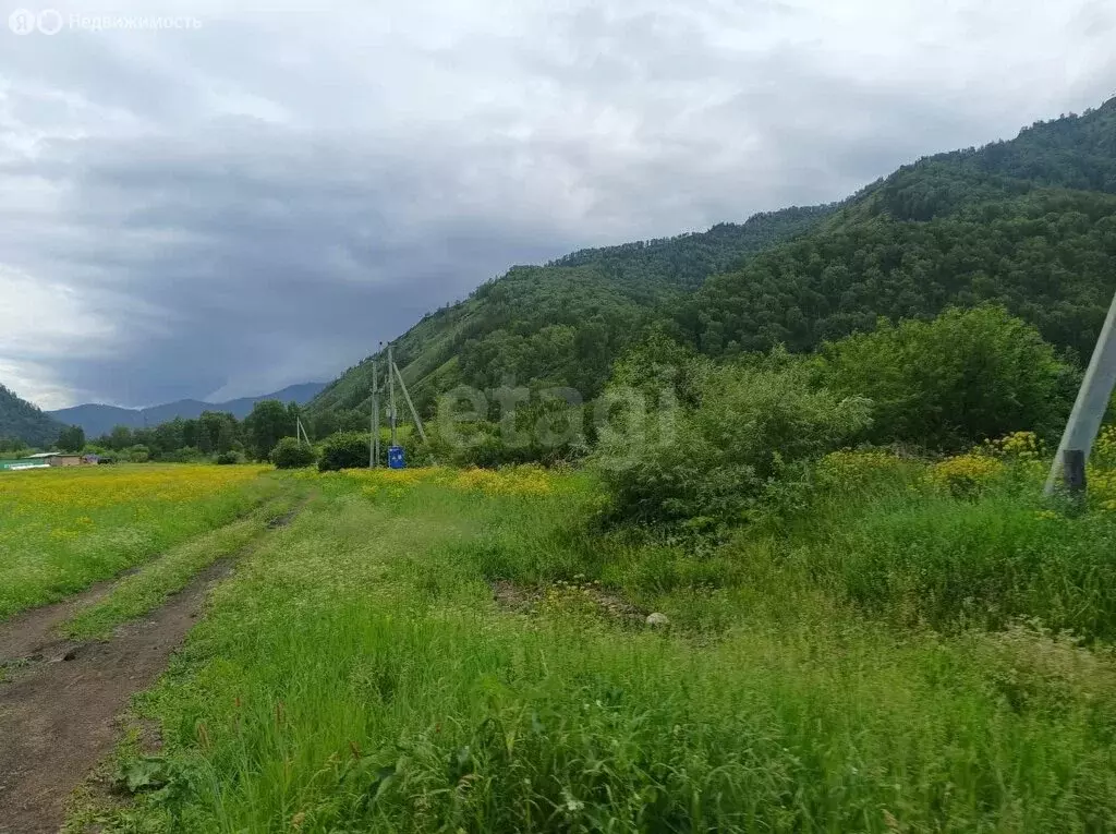 Участок в Шебалинский район, село Шебалино (526 м) - Фото 0