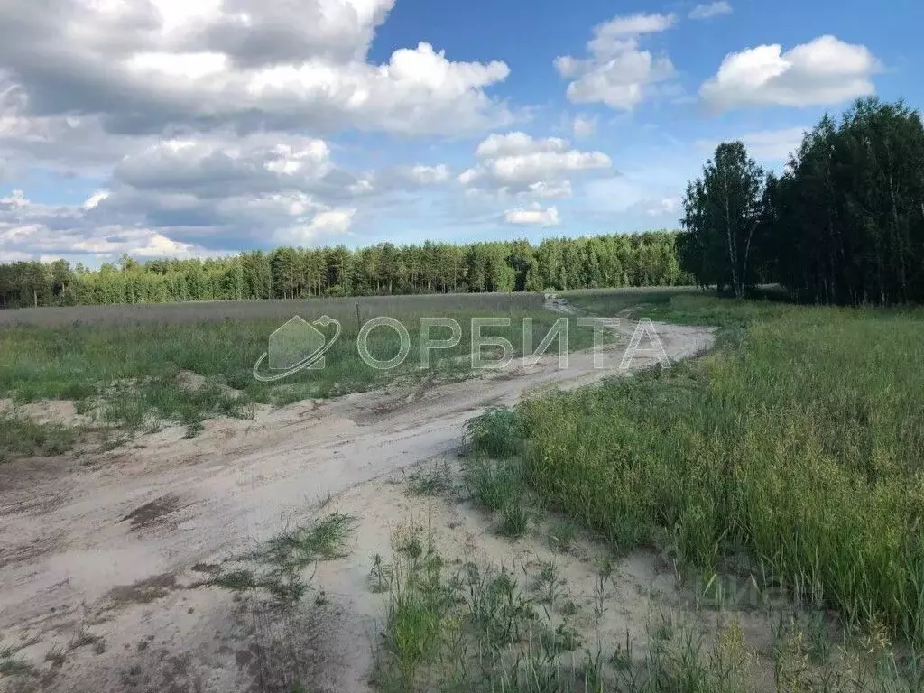 Участок в Тюменская область, Тюменский муниципальный округ, д. ... - Фото 1