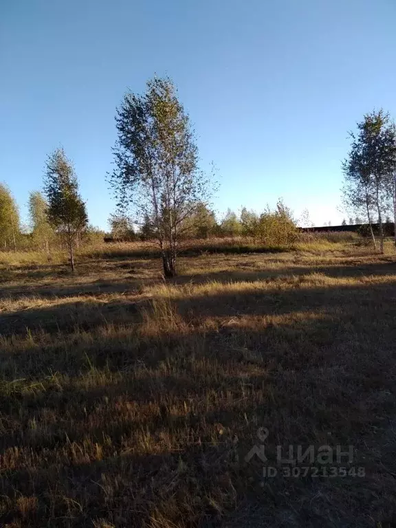 участок в московская область, коломна городской округ, д. нестерово . - Фото 1