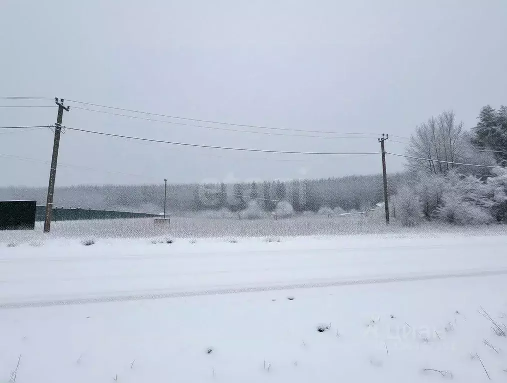 Участок в Тульская область, Тула городской округ, с. Частое ул. ... - Фото 1