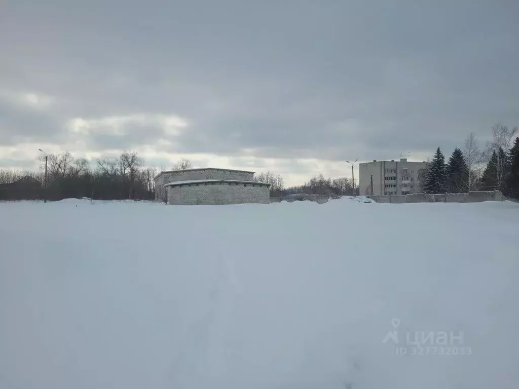 Участок в Брянская область, Навля рп  (46.4 сот.) - Фото 1