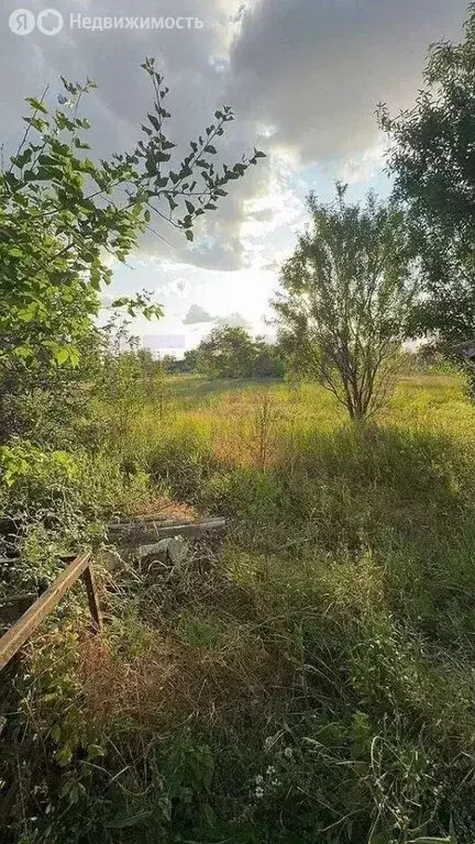 Дом в Абрикосовка, Восточная улица (57 м) - Фото 0