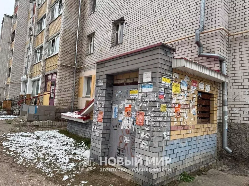 Помещение свободного назначения в Нижегородская область, Бор ... - Фото 1